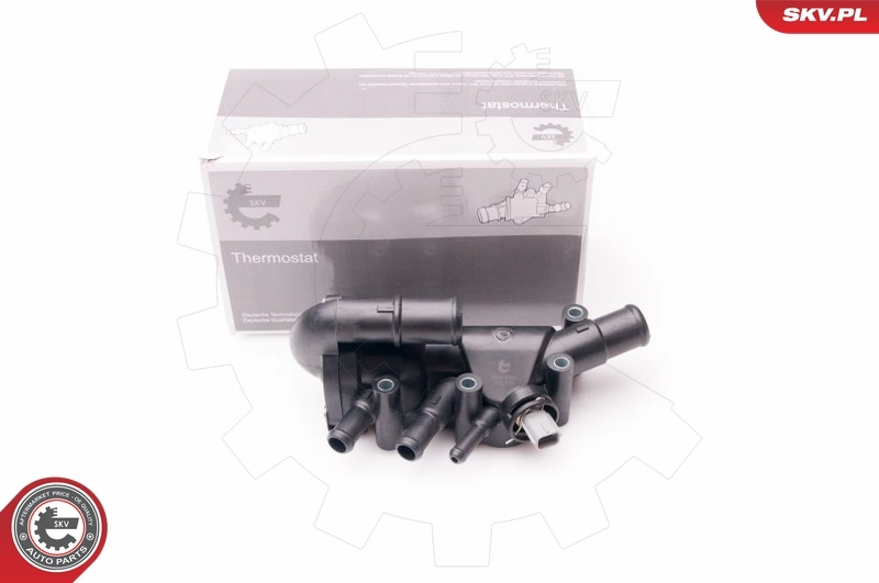 Thermostat, coolant